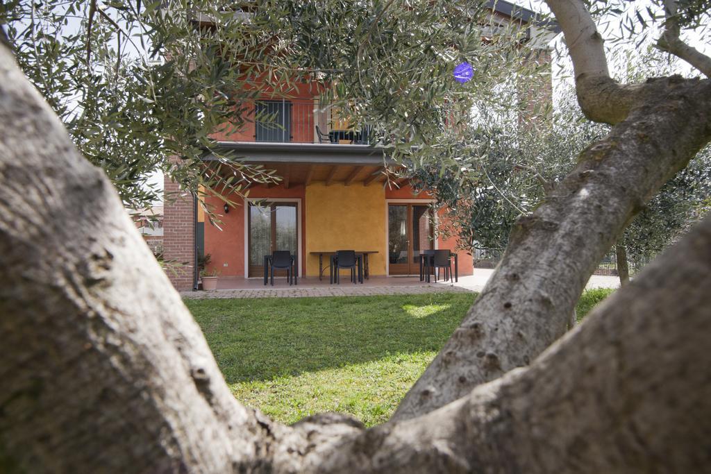 Agriturismo Le Sigalette Salionze Ngoại thất bức ảnh